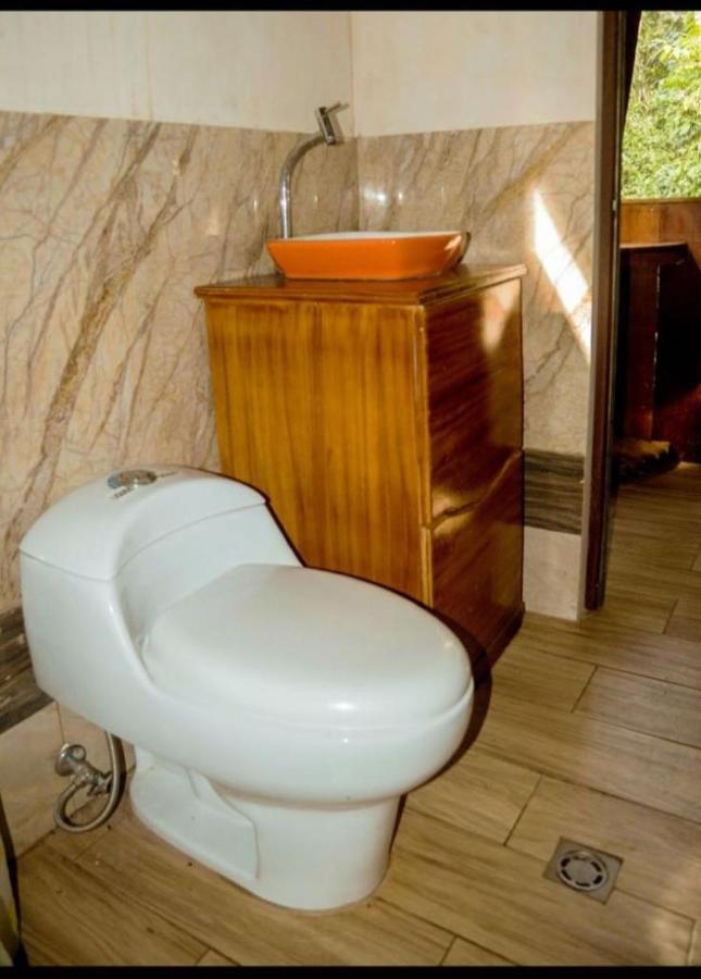 Caiman Lodge - Cuyabeno Nature Amazon Tour Dış mekan fotoğraf