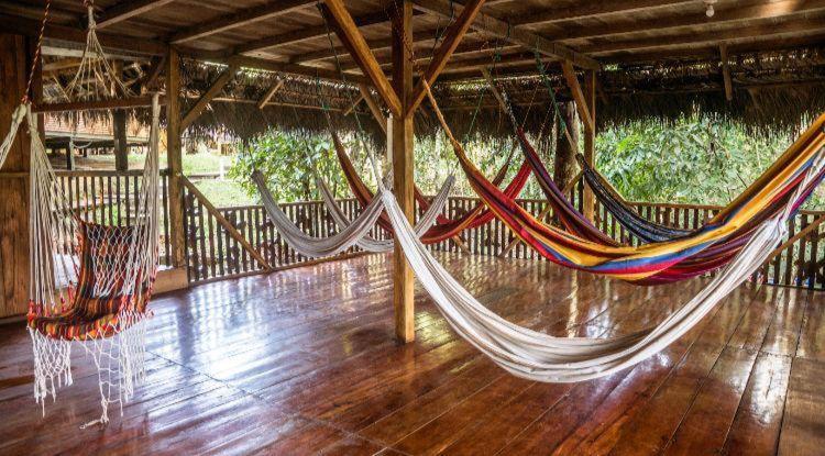 Caiman Lodge - Cuyabeno Nature Amazon Tour Dış mekan fotoğraf