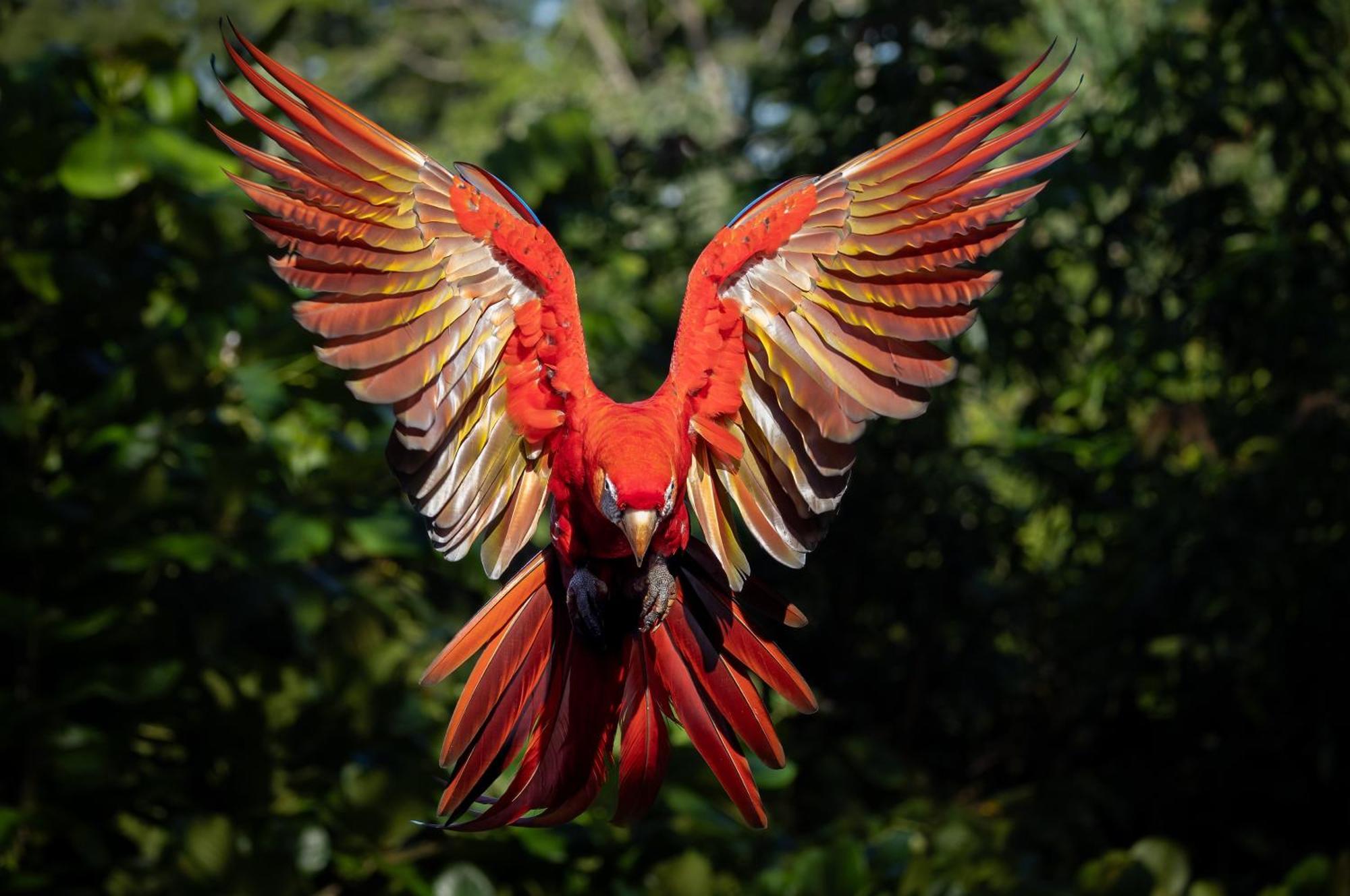 Caiman Lodge - Cuyabeno Nature Amazon Tour Dış mekan fotoğraf