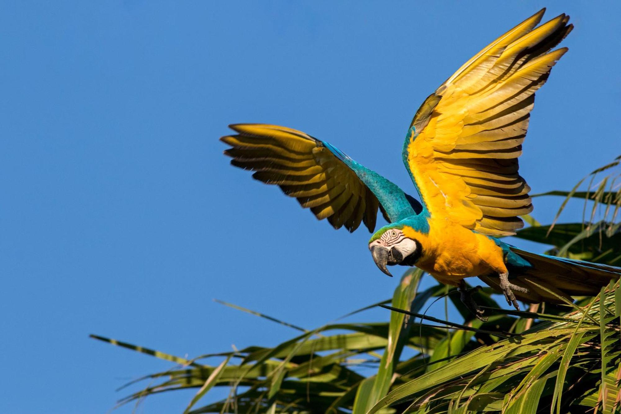 Caiman Lodge - Cuyabeno Nature Amazon Tour Dış mekan fotoğraf