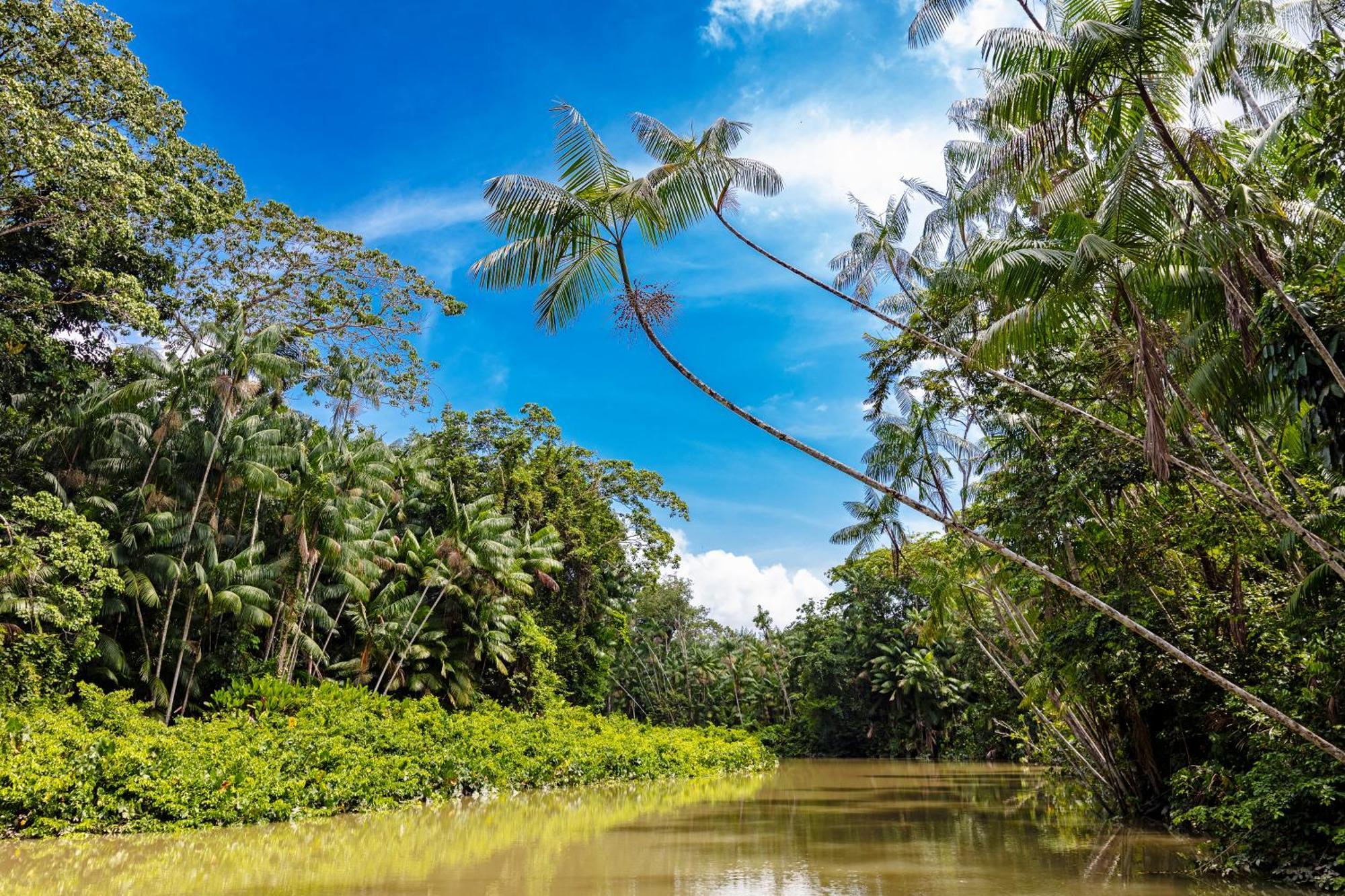 Caiman Lodge - Cuyabeno Nature Amazon Tour Dış mekan fotoğraf
