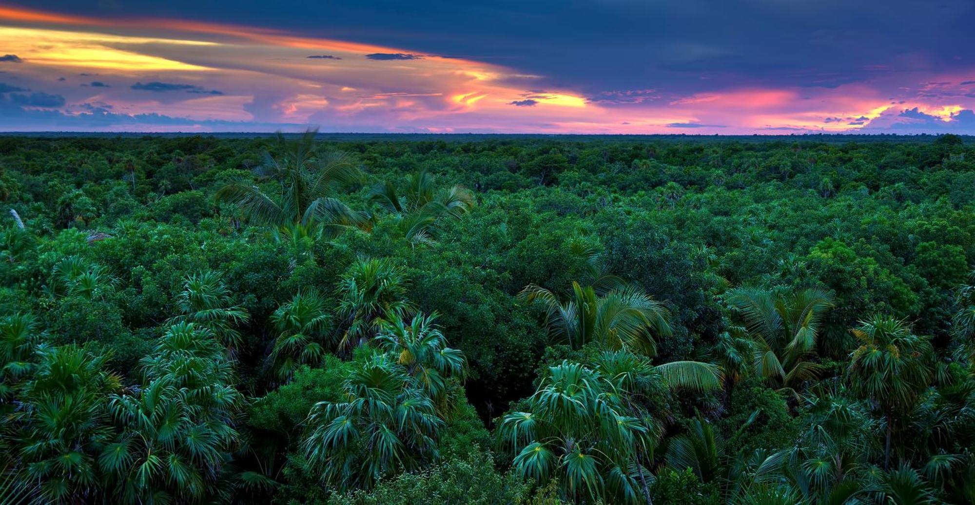 Caiman Lodge - Cuyabeno Nature Amazon Tour Dış mekan fotoğraf